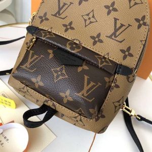 Louis Vuitton Palm Springs Mini - LBP285