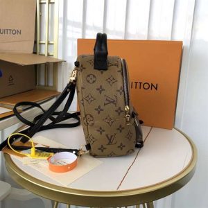 Louis Vuitton Palm Springs Mini - LBP285