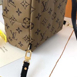 Louis Vuitton Palm Springs Mini - LBP285