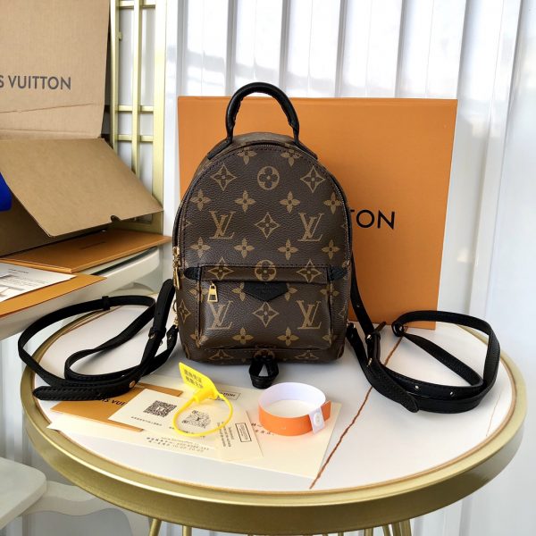 Louis Vuitton Palm Springs Mini - LBP284