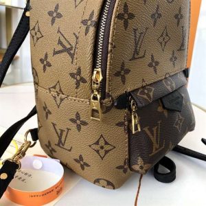 Louis Vuitton Palm Springs Mini - LBP285