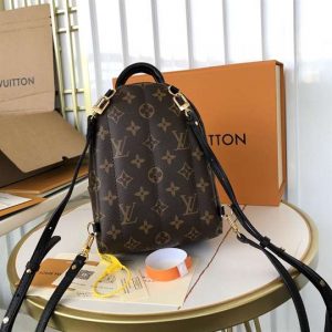 Louis Vuitton Palm Springs Mini - LBP284