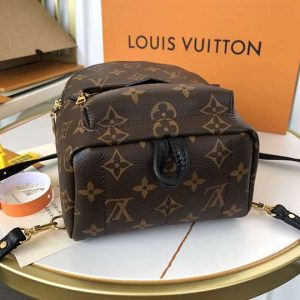 Louis Vuitton Palm Springs Mini - LBP284