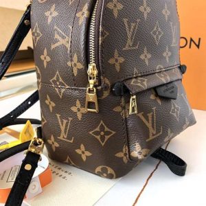 Louis Vuitton Palm Springs Mini - LBP284