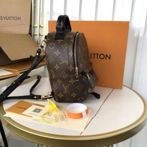 Louis Vuitton Palm Springs Mini - LBP284