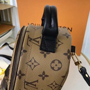 Louis Vuitton Palm Springs Mini - LBP285