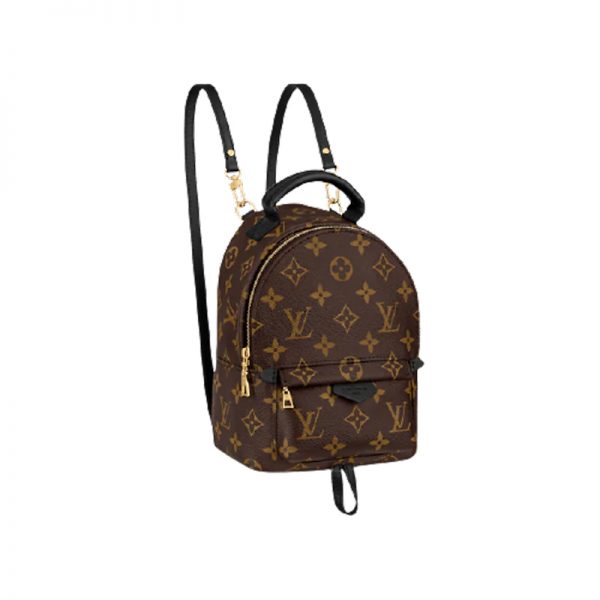 Louis Vuitton Palm Springs Mini - LBP284