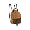 Louis Vuitton Palm Springs Mini - LBP285