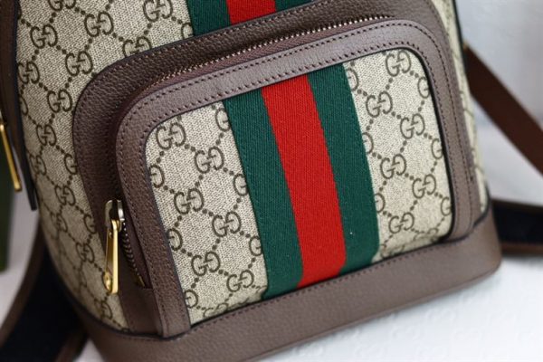 Gucci Women Designer Backpack - GBP032