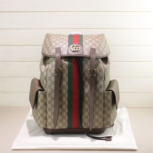 Gucci Ophidia Gg Backpack - GBP107