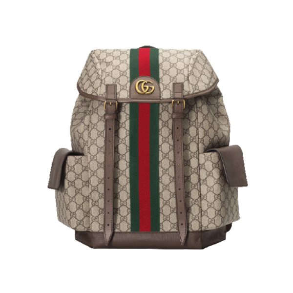 Gucci Ophidia Gg Backpack - GBP107