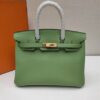 Hermes Birkin Bag - HBP006