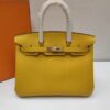 Hermes Birkin Bag - HBP004