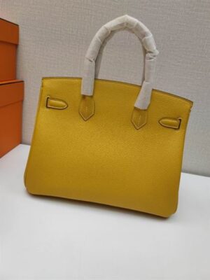 Hermes Birkin Bag - HBP004