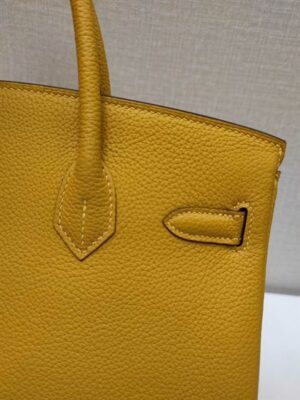 Hermes Birkin Bag - HBP004