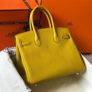 Hermes Birkin Dream Bag - HBP014