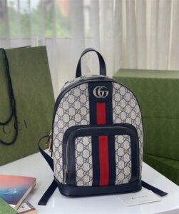 Gucci Women Designer Backpack - GBP108