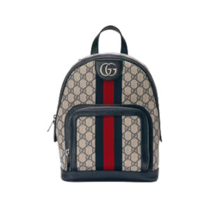 Gucci Women Designer Backpack - GBP108