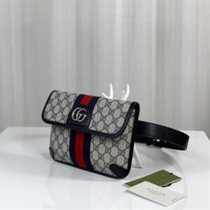 Gucci Ophidia belt bag - GBB063