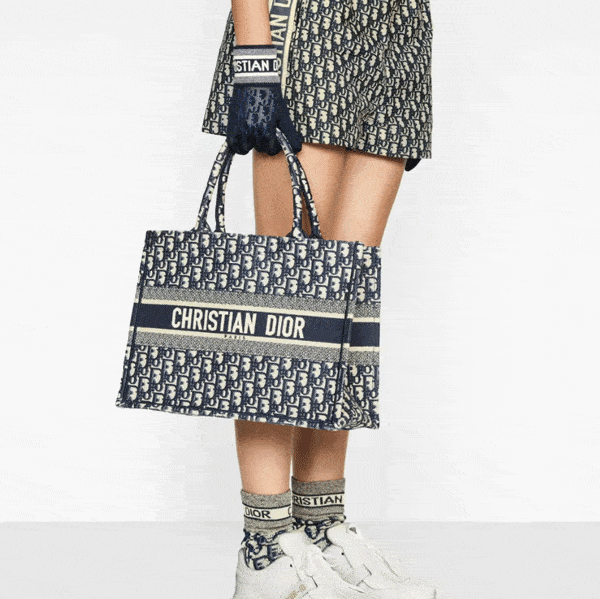 Dior Book Tote