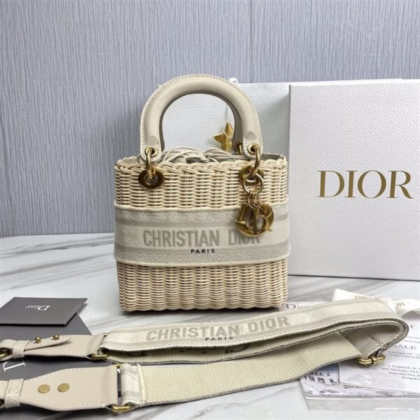 Dior Handbag - DHB19