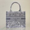 Dior Small Book Tote Bag - DTB08