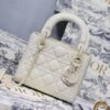 Lady Dior handbag - DHB07