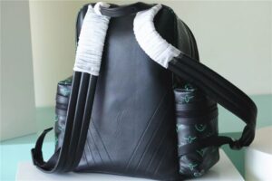 Louis Vuitton Backpack - LBP230