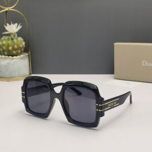 Dior Sunglasses - DG001