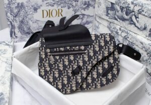 Dior Saddle Pouch - DMB13