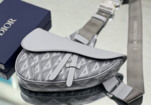 Dior Saddle bag Dior Gray CD Diamond Canvas and Smooth Calfskin - DMB08