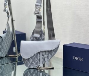 Dior Saddle bag Dior Gray CD Diamond Canvas and Smooth Calfskin - DMB08