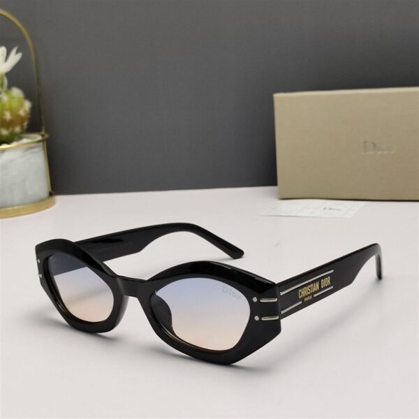 Dior Sunglasses - DG012